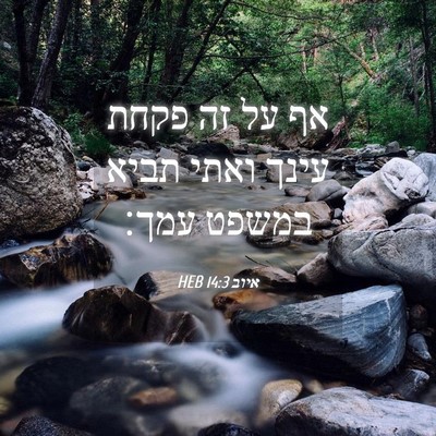 Picture 04 - איוב 14:3 HEB - אף על זה פקחת עינך ואתי - Bible Verse Picture