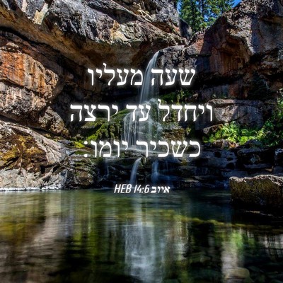 Picture 04 - איוב 14:6 HEB - שעה מעליו ויחדל עד ירצה - Bible Verse Picture