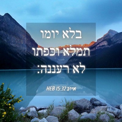 Picture 04 - איוב 15:32 HEB - בלא יומו תמלא וכפתו לא - Bible Verse Picture