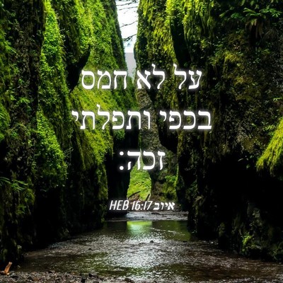 Picture 04 - איוב 16:17 HEB - על לא חמס בכפי ותפלתי - Bible Verse Picture