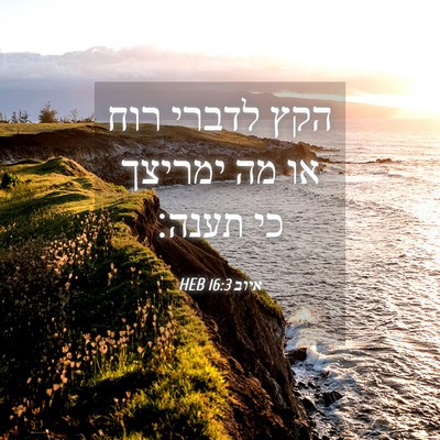 Picture 04 - איוב 16:3 HEB - הקץ לדברי רוח או מה ימריצך - Bible Verse Picture