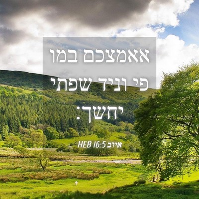 Picture 04 - איוב 16:5 HEB - אאמצכם במו פי וניד שפתי - Bible Verse Picture