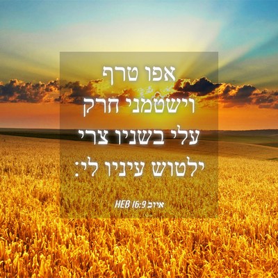 Picture 04 - איוב 16:9 HEB - אפו טרף וישטמני חרק עלי - Bible Verse Picture