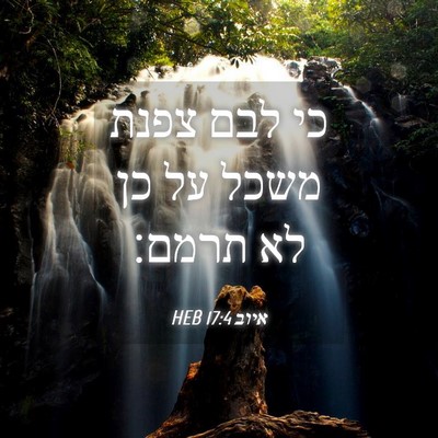Picture 04 - איוב 17:4 HEB - כי לבם צפנת משכל על כן לא - Bible Verse Picture