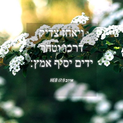 Picture 04 - איוב 17:9 HEB - ויאחז צדיק דרכו וטהר ידים - Bible Verse Picture