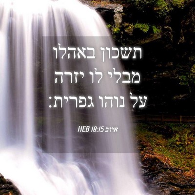 Picture 04 - איוב 18:15 HEB - תשכון באהלו מבלי לו יזרה על - Bible Verse Picture