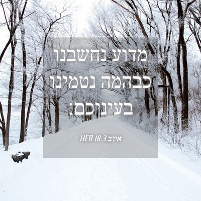 Picture 04 - איוב 18:3 HEB - מדוע נחשבנו כבהמה נטמינו - Bible Verse Picture