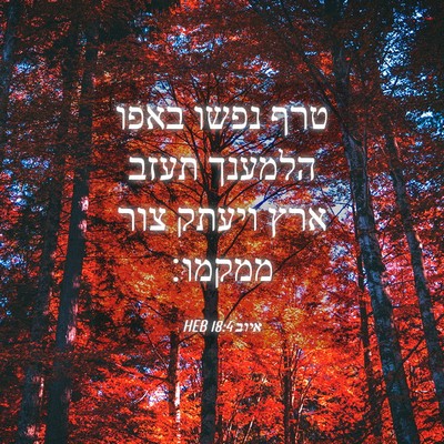 Picture 04 - איוב 18:4 HEB - טרף נפשו באפו הלמענך תעזב - Bible Verse Picture