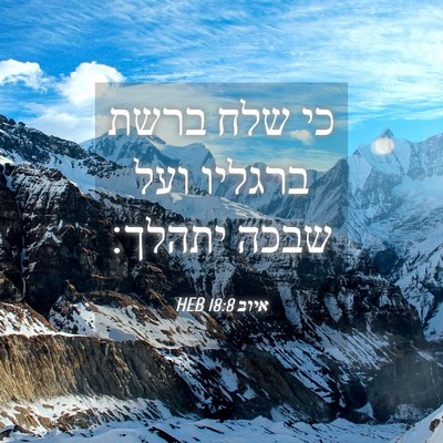 Picture 04 - איוב 18:8 HEB - כי שלח ברשת ברגליו ועל שבכה - Bible Verse Picture