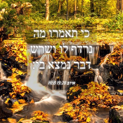 Picture 04 - איוב 19:28 HEB - כי תאמרו מה נרדף לו ושרש - Bible Verse Picture