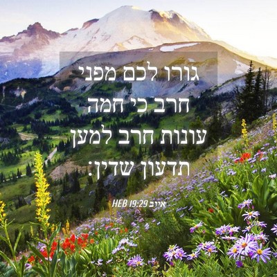 Picture 04 - איוב 19:29 HEB - גורו לכם מפני חרב כי חמה - Bible Verse Picture