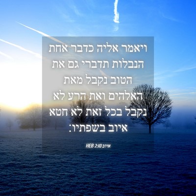 Picture 04 - איוב 2:10 HEB - ויאמר אליה כדבר אחת הנבלות - Bible Verse Picture