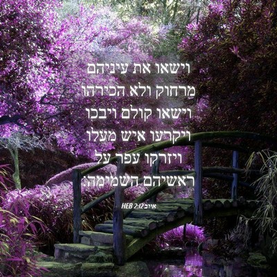 Picture 04 - איוב 2:12 HEB - וישאו את עיניהם מרחוק ולא - Bible Verse Picture