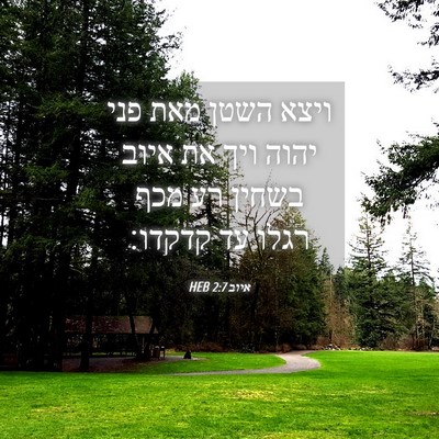 Picture 04 - איוב 2:7 HEB - ויצא השטן מאת פני יהוה ויך - Bible Verse Picture
