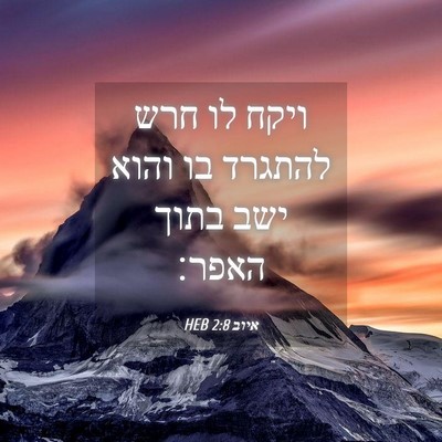 Picture 04 - איוב 2:8 HEB - ויקח לו חרש להתגרד בו והוא - Bible Verse Picture
