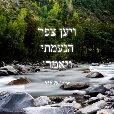 Picture 04 - איוב 20:1 HEB - ויען צפר הנעמתי - Bible Verse Picture