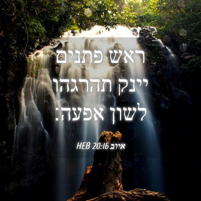 Picture 04 - איוב 20:16 HEB - ראש פתנים יינק תהרגהו לשון - Bible Verse Picture