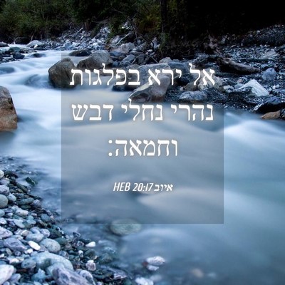 Picture 04 - איוב 20:17 HEB - אל ירא בפלגות נהרי נחלי דבש - Bible Verse Picture