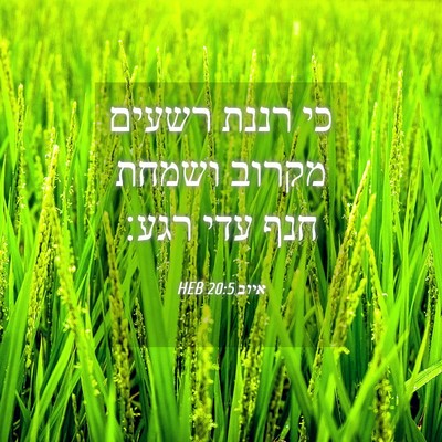Picture 04 - איוב 20:5 HEB - כי רננת רשעים מקרוב ושמחת - Bible Verse Picture