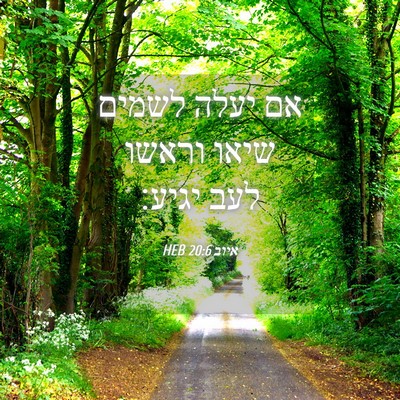 Picture 04 - איוב 20:6 HEB - אם יעלה לשמים שיאו וראשו - Bible Verse Picture