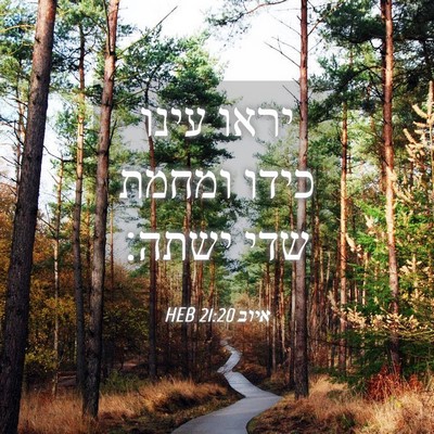 Picture 04 - איוב 21:20 HEB - יראו עינו כידו ומחמת שדי - Bible Verse Picture