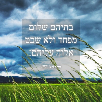 Picture 04 - איוב 21:9 HEB - בתיהם שלום מפחד ולא שבט - Bible Verse Picture