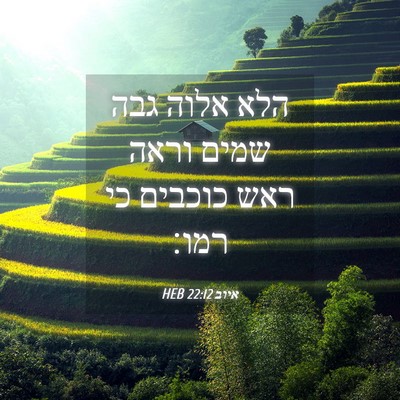 Picture 04 - איוב 22:12 HEB - הלא אלוה גבה שמים וראה ראש - Bible Verse Picture