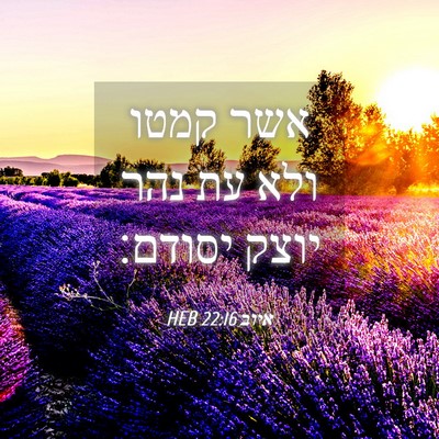Picture 04 - איוב 22:16 HEB - אשר קמטו ולא עת נהר יוצק - Bible Verse Picture