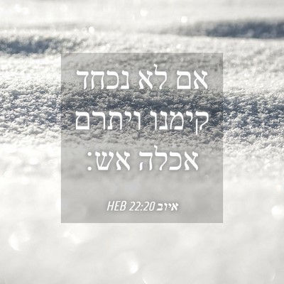 Picture 04 - איוב 22:20 HEB - אם לא נכחד קימנו ויתרם אכלה - Bible Verse Picture