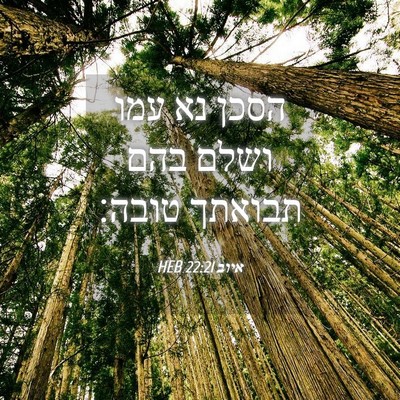 Picture 04 - איוב 22:21 HEB - הסכן נא עמו ושלם בהם תבואתך - Bible Verse Picture