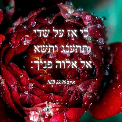 Picture 04 - איוב 22:26 HEB - כי אז על שדי תתענג ותשא אל - Bible Verse Picture
