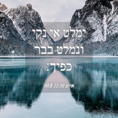 Picture 04 - איוב 22:30 HEB - ימלט אי נקי ונמלט בבר - Bible Verse Picture