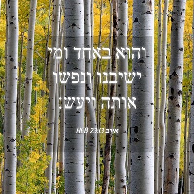 Picture 04 - איוב 23:13 HEB - והוא באחד ומי ישיבנו ונפשו - Bible Verse Picture