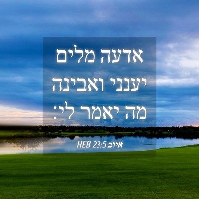Picture 04 - איוב 23:5 HEB - אדעה מלים יענני ואבינה מה - Bible Verse Picture