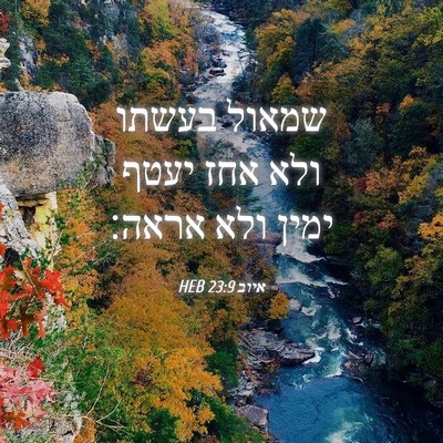 Picture 04 - איוב 23:9 HEB - שמאול בעשתו ולא אחז יעטף - Bible Verse Picture