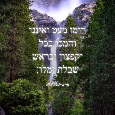 Picture 04 - איוב 24:24 HEB - רומו מעט ואיננו והמכו ככל - Bible Verse Picture