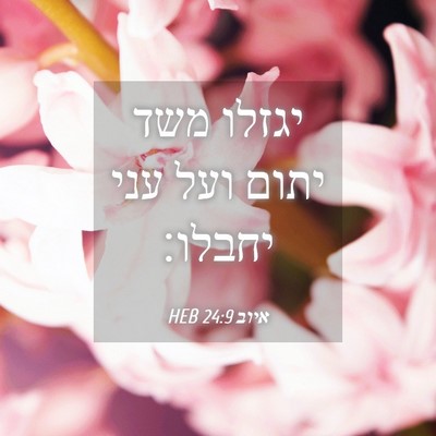 Picture 04 - איוב 24:9 HEB - יגזלו משד יתום ועל עני - Bible Verse Picture