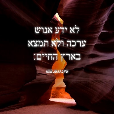 Picture 04 - איוב 28:13 HEB - לא ידע אנוש ערכה ולא תמצא - Bible Verse Picture