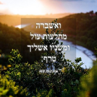 Picture 04 - איוב 29:17 HEB - ואשברה מתלעות עול ומשניו - Bible Verse Picture