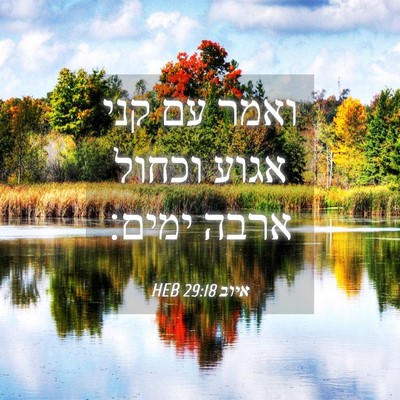 Picture 04 - איוב 29:18 HEB - ואמר עם קני אגוע וכחול ארבה - Bible Verse Picture