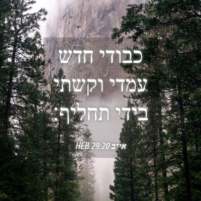 Picture 04 - איוב 29:20 HEB - כבודי חדש עמדי וקשתי בידי - Bible Verse Picture