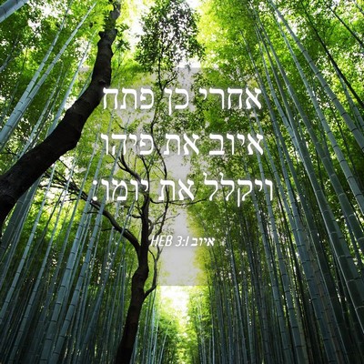 Picture 04 - איוב 3:1 HEB - אחרי כן פתח איוב את פיהו - Bible Verse Picture