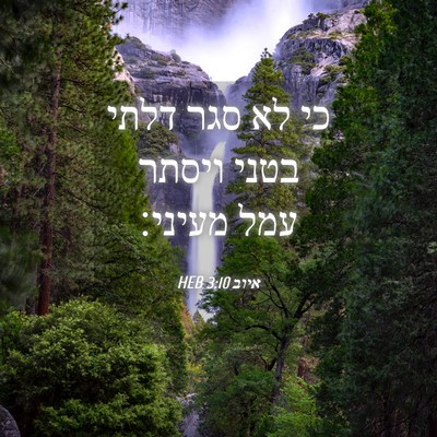 Picture 04 - איוב 3:10 HEB - כי לא סגר דלתי בטני ויסתר - Bible Verse Picture