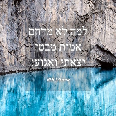 Picture 04 - איוב 3:11 HEB - למה לא מרחם אמות מבטן יצאתי - Bible Verse Picture