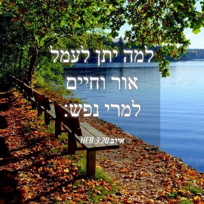 Picture 04 - איוב 3:20 HEB - למה יתן לעמל אור וחיים למרי - Bible Verse Picture