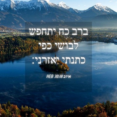 Picture 04 - איוב 30:18 HEB - ברב כח יתחפש לבושי כפי - Bible Verse Picture