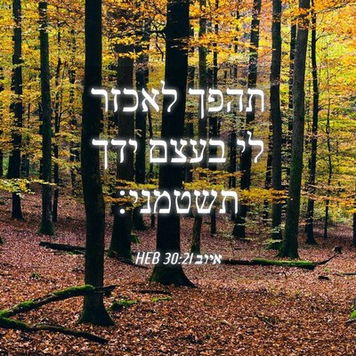 Picture 04 - איוב 30:21 HEB - תהפך לאכזר לי בעצם ידך - Bible Verse Picture