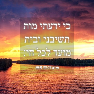 Picture 04 - איוב 30:23 HEB - כי ידעתי מות תשיבני ובית - Bible Verse Picture