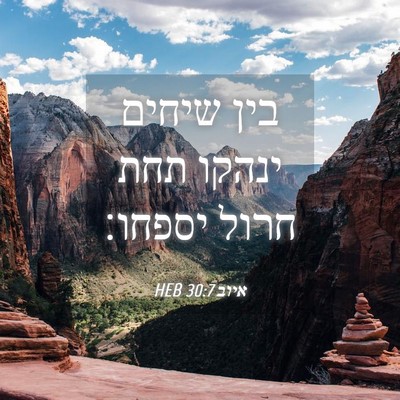 Picture 04 - איוב 30:7 HEB - בין שיחים ינהקו תחת חרול - Bible Verse Picture