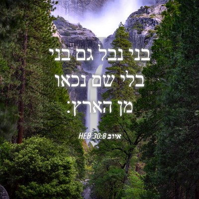 Picture 04 - איוב 30:8 HEB - בני נבל גם בני בלי שם נכאו - Bible Verse Picture